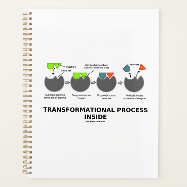 Transformational Process Inside Enzyme Substrate Planner (Front)
