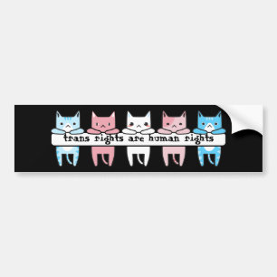 Transgender Flag Cat Trans Rights Are Human Rights Bumper Sticker