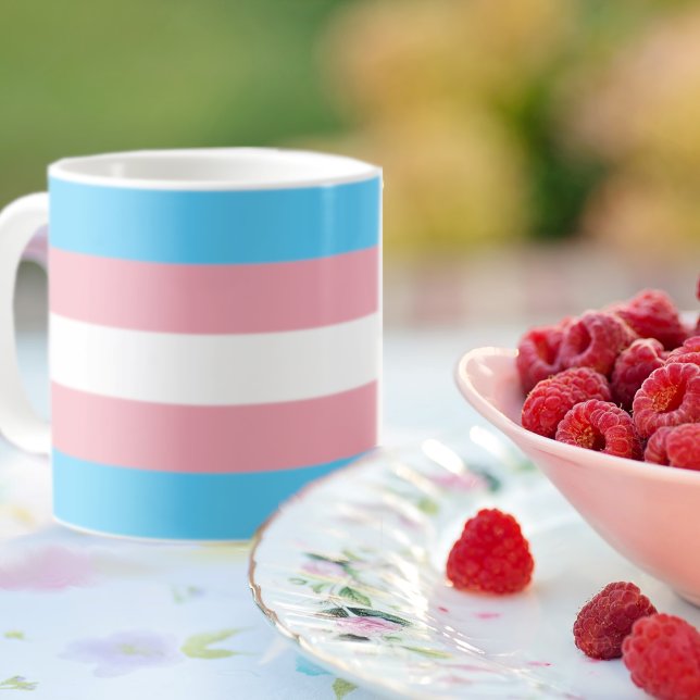 Transgender Flag Mug (Creator Uploaded)
