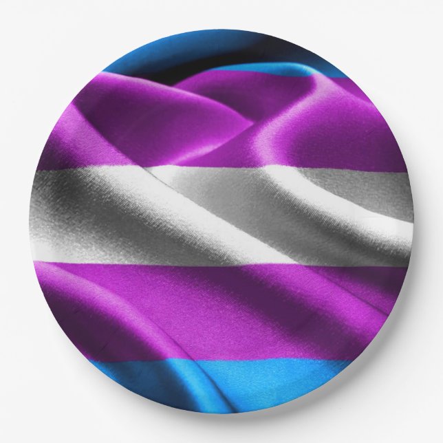 Transgender Flag Paper Plate (Front)