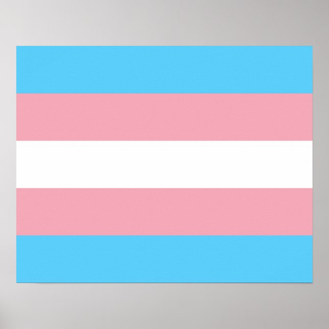 Transgender flag Poster (Front)