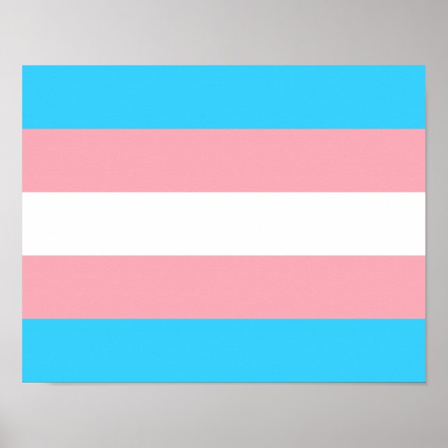 Transgender Flag Print, Value Poster Paper (Matte) (Front)