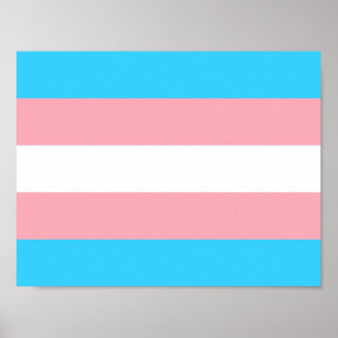 Transgender Flag Print, Value Poster Paper (Matte)