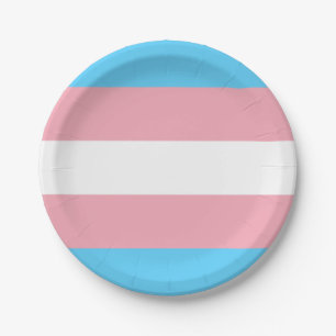 Transgender flag trans pride LGBT symbol gay homos Paper Plate