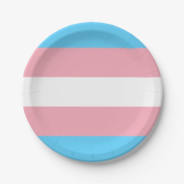 Transgender flag trans pride LGBT symbol gay homos Paper Plate (Front)