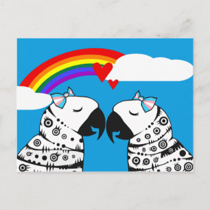 Transgender Lesbian Parrots Couple Postcard