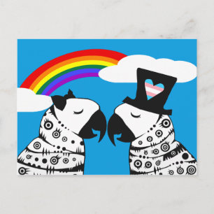 Transgender Parrot Boy with Girlfriend Postcard