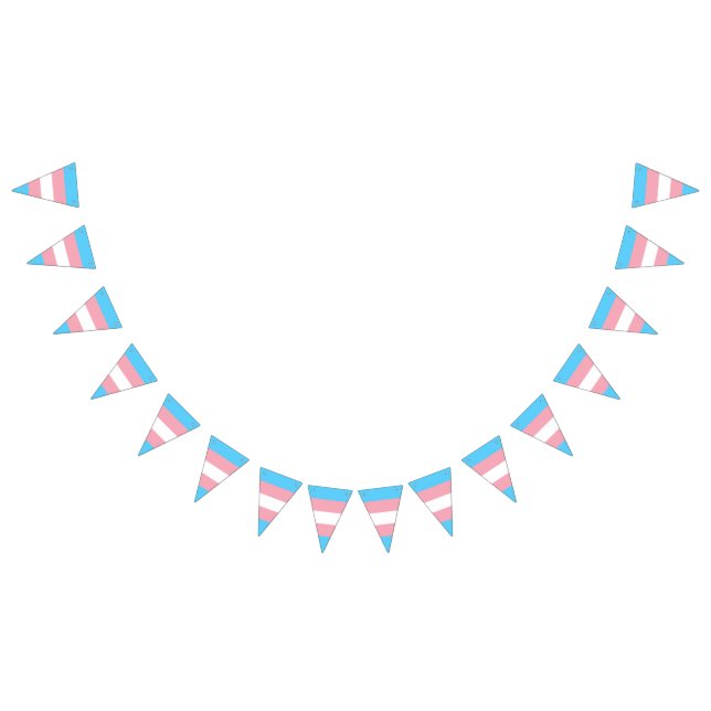 Transgender Pride Flag (All)