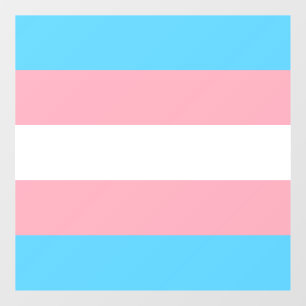 Transgender Pride Flag 