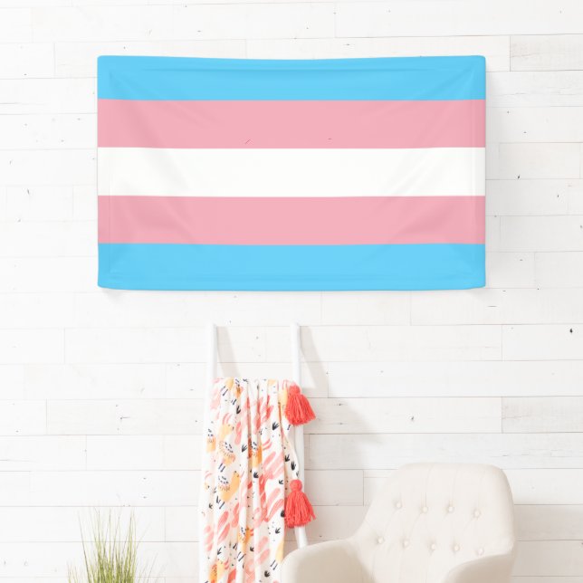 Transgender Pride Flag Banner (Insitu)