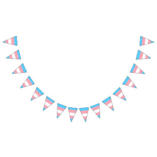 Transgender pride flag banner
