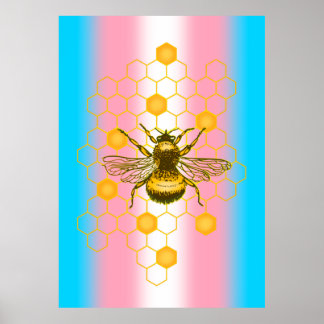 Transgender pride flag, Bee-live, Love is Love  Poster