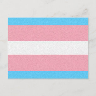 Transgender Pride Flag Coloured Background Postcard