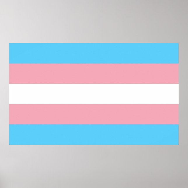 Transgender Pride Flag - LGBT Rainbow Poster (Front)
