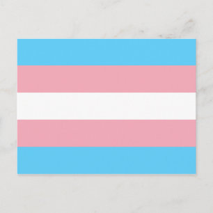Transgender Pride Flag Postcard