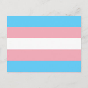 Transgender pride flag postcard