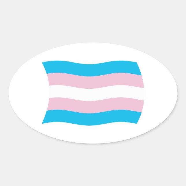 Transgender Pride Flag Sticker (Front)