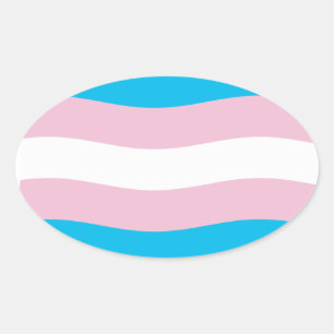 Transgender Pride Flag Sticker
