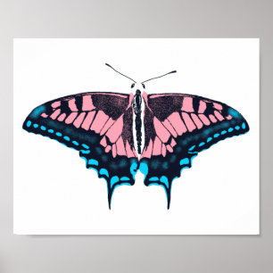 Transgender Pride Flag Swallowtail Butterfly Poster