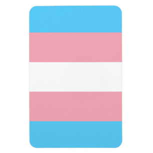 Transgender Pride Magnet