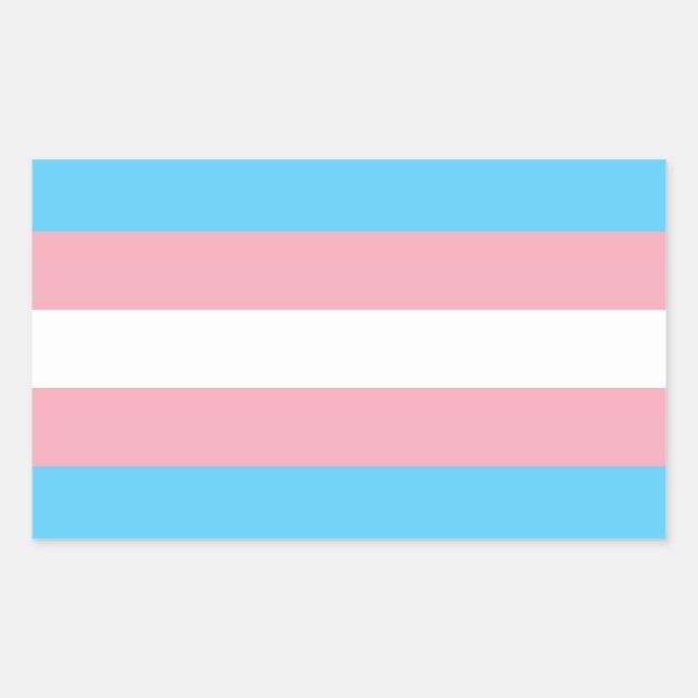 Transgender Pride Rectangle Sticker (Front)