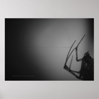 TRANSLUCENT 8 POSTER