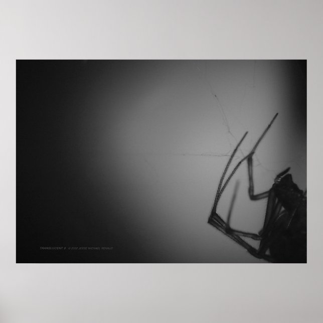 TRANSLUCENT 8 POSTER (Front)