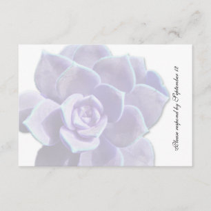 Translucent Lilac Succulent Vintage rsvp Card