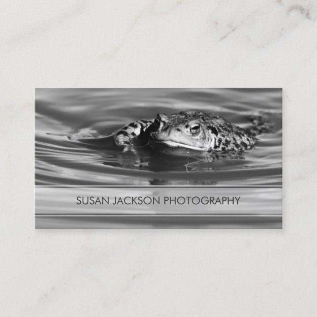 Transparent Band - Photographers Business Card (Front)