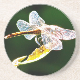 Transparent dragonfly coaster