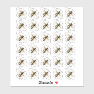 Transparent or White Vintage Honeybee Stickers 