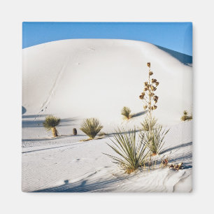 Transverse Dunes and Soaptree Yucca 2 Magnet