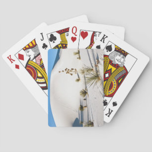 Transverse Dunes and Soaptree Yucca 2 Playing Cards