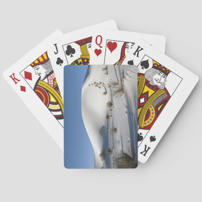 Transverse Dunes and Soaptree Yucca Playing Cards (Back)
