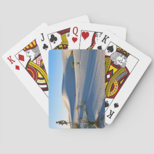 Transverse Dunes, Yucca, Early Morning Light Playing Cards