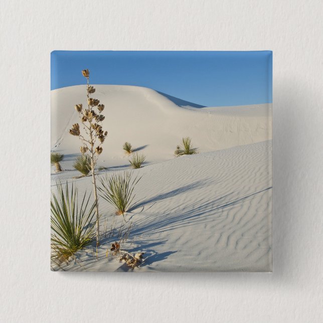 Transverse Dunes, Yucca, shadows 15 Cm Square Badge (Front)