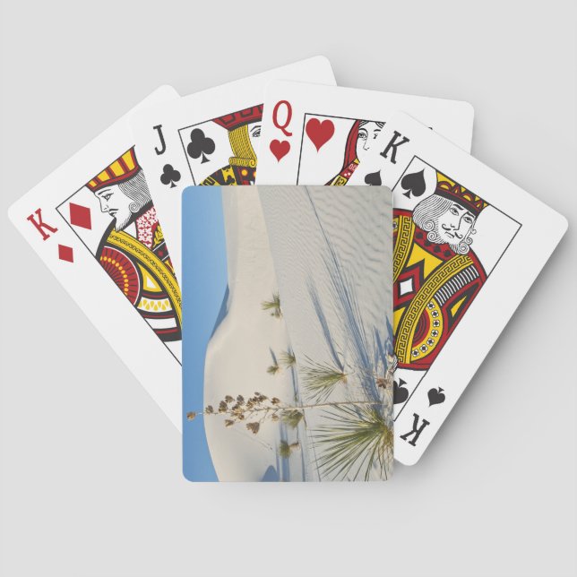 Transverse Dunes, Yucca, shadows Playing Cards (Back)