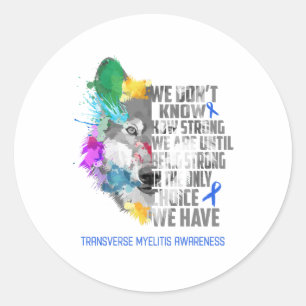 Transverse Myelitis Awareness Ribbon Support Gifts Classic Round Sticker