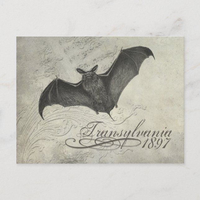 Transylvania 1897 Bat Collage Post Card Halloween (Front)