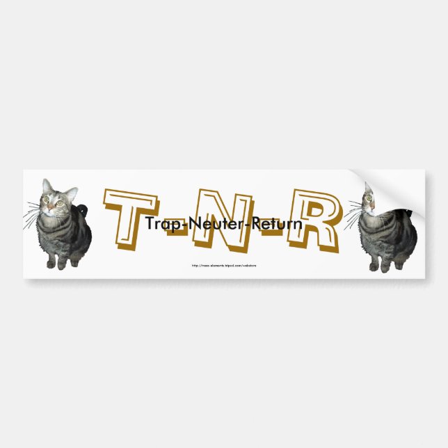 "Trap, Neuter, Return" tabby cat bumper sticker (Front)