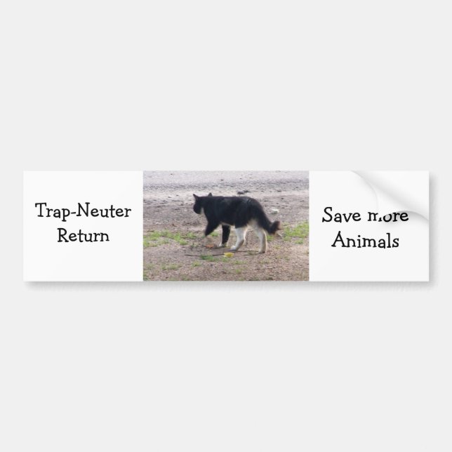 trap nueter return bumper sticker (Front)
