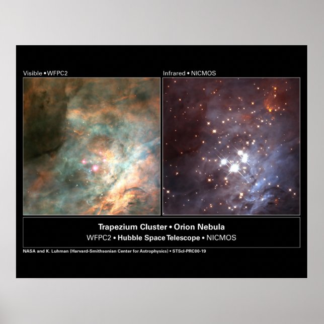 Trapezium Cluster Hubble Telescope Photo Poster (Front)