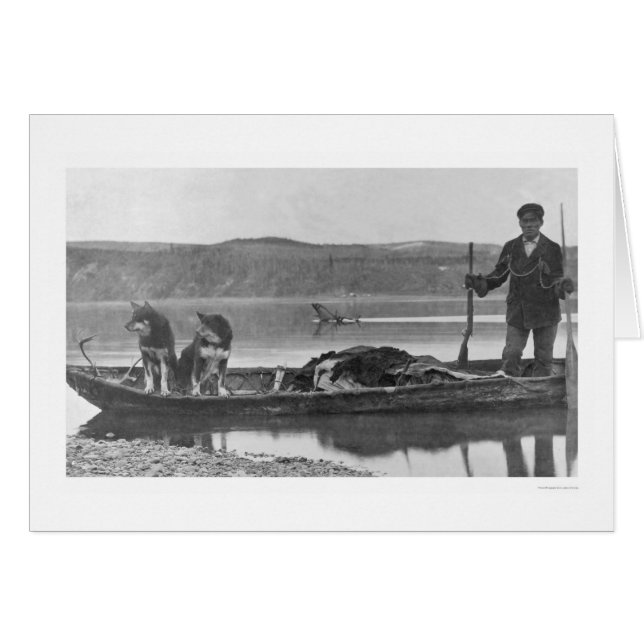 Trapper with Hides & Dogs Alaska 1906 (Front Horizontal)