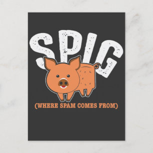 Trash Mail Spam Folder Spig Pig Postcard