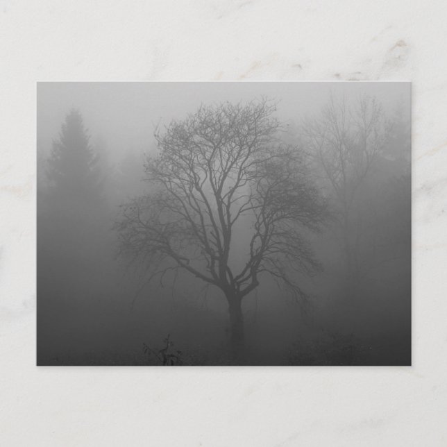 Trauerkarte Postcard (Front)