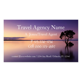 Travel Business Card Standard