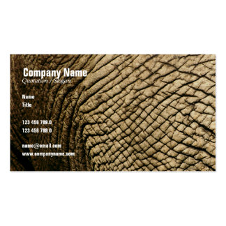 Travel Business Card Standard