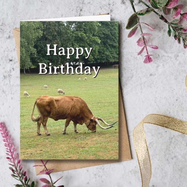 Travel Birthday Bull Sheep Farm Portugal Photo Card (Creator Uploaded)