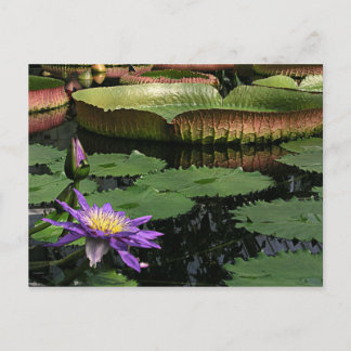 Travel collecting postcard 1