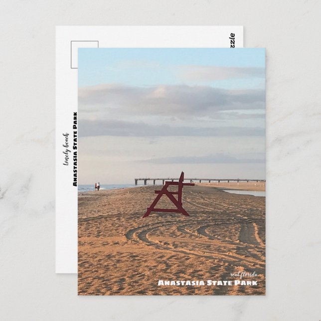 Travel | Florida - Anastasia State Park Beach Postcard (Front/Back)